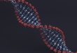 Расшифровка генов болезни Паркинсона