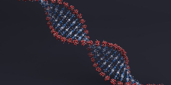 Расшифровка генов болезни Паркинсона