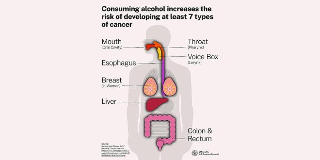 Алкоголь повышает риск развития 7 видов рака
